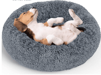 CUTE DOG LYING ON A DONUT BED